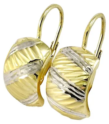 Obrázok produktu pre Zlaté náušnice Glare1032