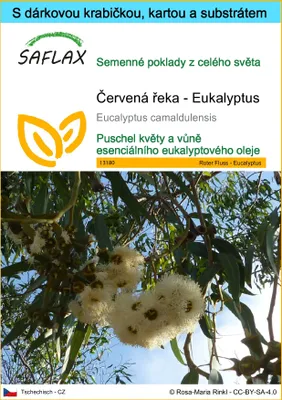 Obrázek produktu pro SAFLAX Dárková sada - Červená řeka - Eukalyptus - Eucalyptus camaldulensis - 200 Semena - S dárkovou krabičkou, přepravním štítkem, dárkovou kartou a pěstebním médiem