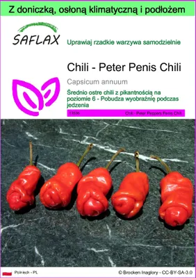 Zdjęcie produktu dla SAFLAX - Garden to go - Chili - Peter Penis Chili - 10 Nasiona - Z doniczką, pokrywą klimatyczną i podłożem do uprawy - Capsicum annuum