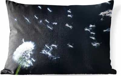Produktbild von MuchoWow® Outdoor Kissen - Schwimmende Löwenzahnsamen - 60x40 cm - Wetterfest - Lounge Kissen - Zierkissen - Kissen für Innenräume