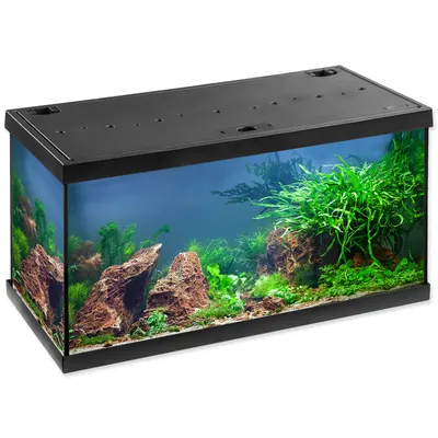 Immagine prodotto di Set acquario Aquastar LED nero 54 l