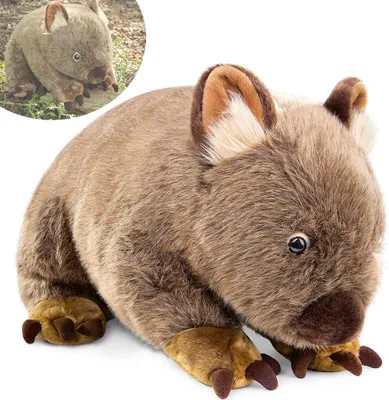 Produktbild von 26 cm Wombat Kuscheltier, niedliche Plüschpuppe, ideales Geschenk für Kinder, Tierliebhaber, Kinderzimmer Dekoration