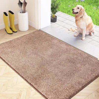 Image de FCSDETAIL Tapis de propreté intérieur 80x120cm Marron antidérapant lavable pour chien & porte d'entrée
