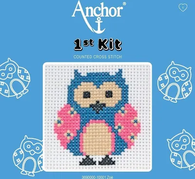 Produktbild von Anchor Stickset, komplett mit Nadel, Fäden, Stickstoff und Kartonrahmen, 10x10cm