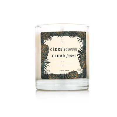 Produktbild von Panier des Sens Cedar Forest Duftkerze 275 g