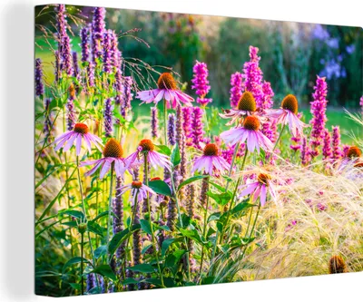 Produktbild von MuchoWow® - Leinwandbilder - Ziergras mit rosa Blüten, Wandbild, Wanddeko Bilder Wohnzimmer, 60x40 cm