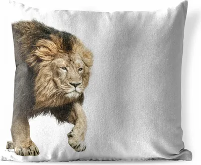 Produktbild von MuchoWow® Outdoor Kissen - Löwe - Weiß - Tiere - 60x60 cm - Wetterfest - Lounge Kissen - Dekoration - Schlaf Kissen