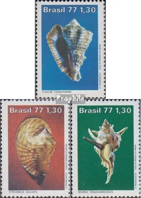 Produktbild von Briefmarken Brasilien 1977 Mi 1604-1606 (kompl.Ausg.) postfrisch Meeresschnecken