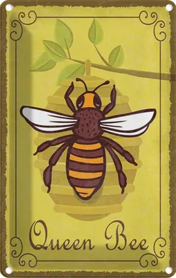 Produktbild von vianmo Blechschild 30x20 cm Queen Bee Biene Honig Imkerei Tier Haustier