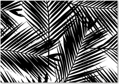 Produktbild von Tulup® Glas-Bild - 100 x 70 - Wandbild aus Glas - Wandkunst - Wandbild hinter gehärtetem Sicherheitsglas - Blumen & Pflanzen - Blätter der Palme - Schwarzweiß