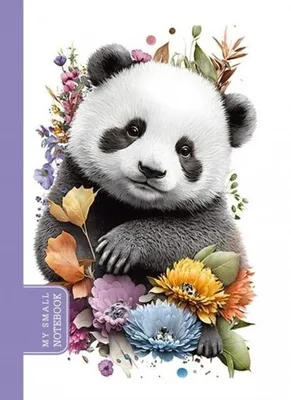 Obrázek produktu pro Sketchbook ART 10,5x14,8 cm Panda
