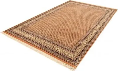 Image de Mir royal pfirsich (170x240 cm)