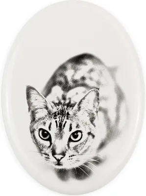 Immagine prodotto di Ocicat - targa commemorativa con foto del gatto, lapide con stampa, targa ovale personalizzata del marchio Art-Dog