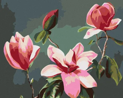 Image de Zuty - Peinture par numéros - MAGNOLIA ROSE (MYROSLAVA VOLOSCHUK), 40 x 50 cm, sans cadre et sans toile tendue