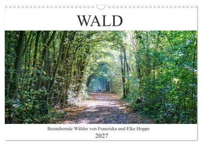 Produktbild von Wald - bezaubernde Wälder (Wandkalender 2027 DIN A3 quer), CALVENDO Monatskalender