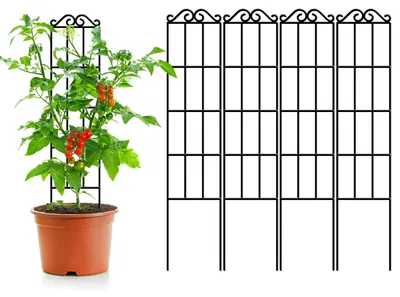 Imagen del producto de Omgoods - Juego de 4 enrejados metálicos estables para plantas trepadoras, ideales para jardines