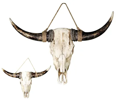 Obrázek produktu pro Nástěnná dekorace Buffalo, 38 x 24 cm