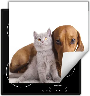 Produktbild von DarHaus Herdabdeckplatte 60x52 cm Anti Rutsch Matte Aufrollbar, Katze und Hund