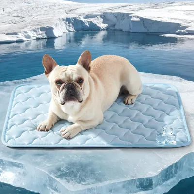 Image de Omgoods - Tapis rafraîchissant pour chiens, autonettoyant, lavable