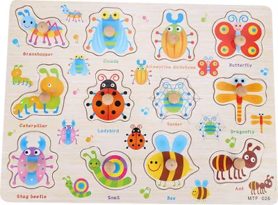 Zdjęcie produktu dla Zabawka dla niemowląt Montessori Drewniana układanka z chwytakiem Zestaw zabawek edukacyjnych Prezent z kreskówki (owad)