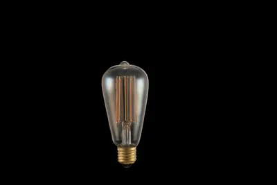 Zdjęcie produktu dla Żarówka Globo LED, 1xE27 LED; 11399