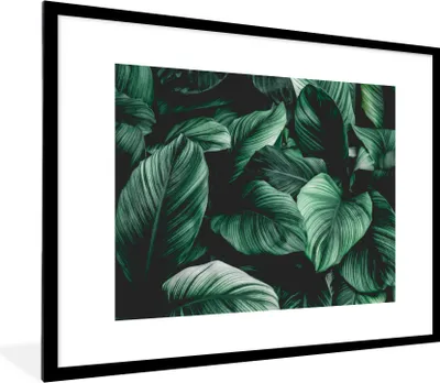 Produktbild von MuchoWow® Gerahmtes Poster Dschungel - Blätter - Tropisch - Pflanzen - Natur 80x60 cm - Poster mit Schwarzem Bilderrahmen Wandposter Rahmen Foto Bilder - Schlafzimmer-Dekorationen - Fotoposter