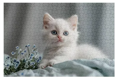 Obrázek produktu pro Dřevěná puzzle s 2000 dílků
