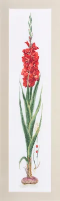 Produktbild von Thea Gouverneur Kreuzstich Stickpackung "Gladiolenrot Aida", Zählmuster, 20x88cm