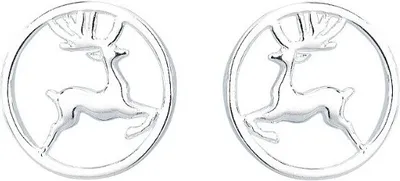 Produktbild von Mini-Ohrringe aus rhodiniertem Silber, Chirurgenstahl, Maße 0,9x0,9 cm