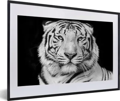 Produktbild von MuchoWow® Gerahmtes Poster Tiger - Schwarz - Weiß - Porträt - Tiere 60x40 cm - Poster mit Schwarzem Bilderrahmen Wandposter Rahmen Foto Bilder - Schlafzimmer - Plakat in Rahmen - Drucken