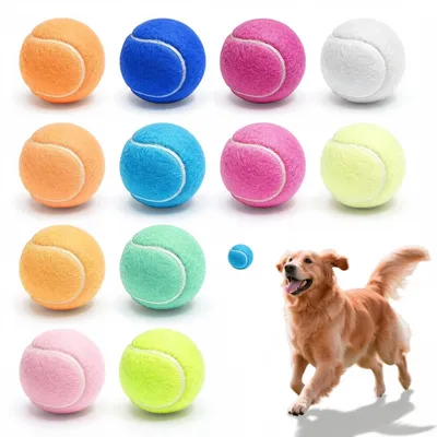Immagine prodotto di Set di 12 palline da tennis multicolore per cani