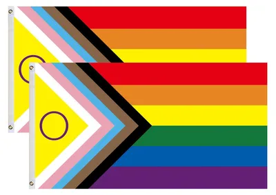 2 Progress Pride-Flaggen 90x150 cm Regenbogenfahnen mit Ösen