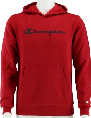 Produktbild von Sweatshirts Champion Big Logo Print 305358RS502F20