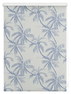 Produktbild von Lichtblick Rollo Tageslicht blickdicht ohne Bohren Klemmbar, Anschraubbar 90 cm x 150 cm (B x L)