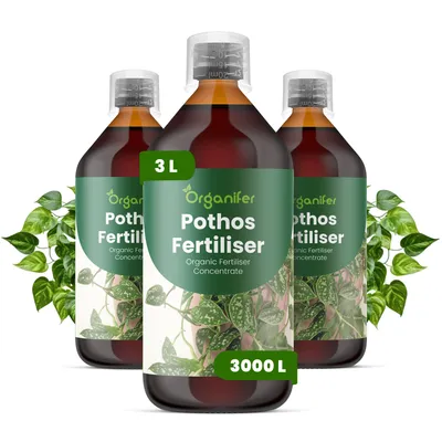 Obrázek produktu pro Pothos Tekuté Hnojivo 3x1 L – 2-1-8 NPK – Pro Pothos – Podporuje Bujný Růst Výhonkov & Silnú Štruktúru – Organifer
