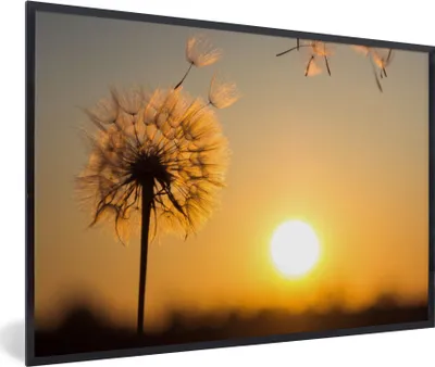 Produktbild von MuchoWow® Gerahmtes Poster Löwenzahn - Sonne - Sonnenuntergang 30x20 cm - Poster mit Schwarzem Bilderrahmen Wandposter Rahmen Foto Bilder - Kunstdruck - Bild-Poster