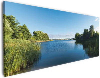 Produktbild von Wallario Premium Leinwandbild Malerischer See mit Schilf unter blauem Himmel in Größe 60 x 150 cm