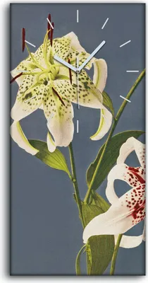Produktbild von Wandbild Leinwand Bilder Wanduhr Geräuschlos 30x60 Gemälde Blumen Pflanzen Kunst - weiße Hände
