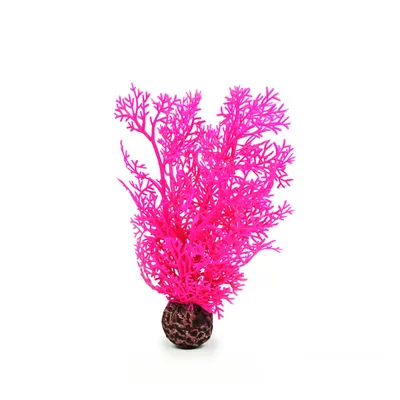 Obrázek produktu pro biOrb Sea fan S pink