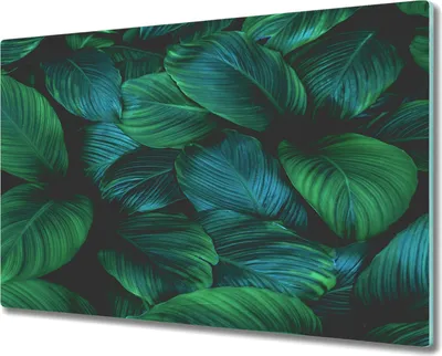 Produktbild von Coloray Herdabdeckplatte 80x52 cm Schneidebrett Kochplattenabdeckung Küchenbrett Hackbrett - Blume Pflanze Blätter