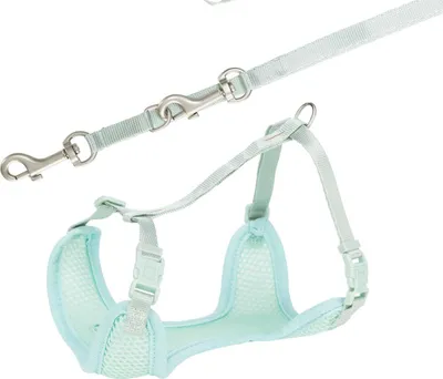 Produktbild von TRIXIE Junior Welpen-Softgeschirr mit Leine - mint - 26–34 cm/10 mm