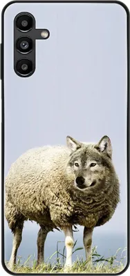 Produktbild von König Design Hülle kompatibel mit Samsung Galaxy A13 5G Kunststoff Soft Handyhülle - Handy Case Wolf im Schafspelz