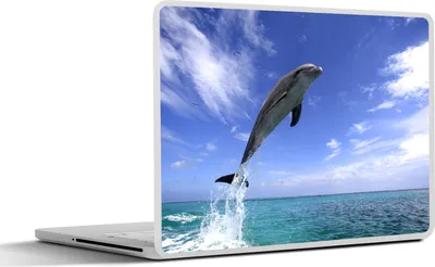 Produktbild von MuchoWow® Laptop Aufkleber Sticker Cover Delfin - Meer - Himmel 25x18 cm - Laptop-Deko