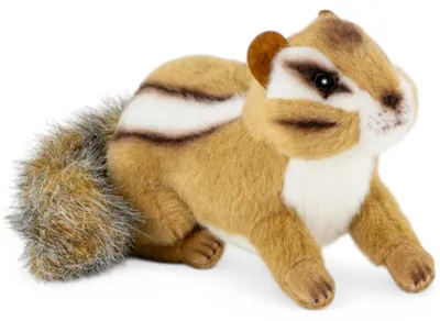 Immagine prodotto di Carl Dick scoiattolo 17 cm. Peluche, peluche, peluche 3706