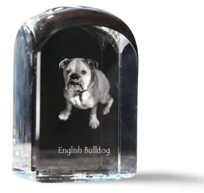 Zdjęcie produktu dla Art-Dog Przycisk do papieru – Buldog