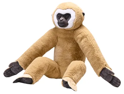 Produktbild von Wild Republic - Kuscheltier - Artist - Weißhandgibbon