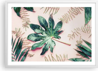 Produktbild von Gerahmtes Poster - Weißer Rahmen - Blatt Tropisch Palme - 70x50 cm - Wand Bild - Wanddeko - Wandbilder - Kunstposter - Wandposter - Bilderrahmen - Bilder - Kunstdruck - Wandbild - P2WAA70x50-4314