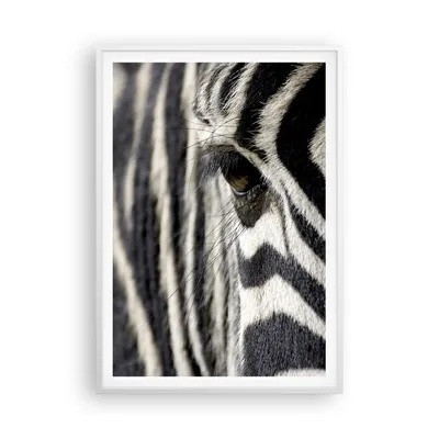 Produktbild von Gerahmtes Poster - Weißer Rahmen - Zebra Streifen Tierwelt Safari - 70x100 cm - Wand Bild - Wanddeko - Wandbilder - Wandposter - Bilderrahmen - Bilder - Kunstdruck - Wandbild - P2WPA70x100-2195