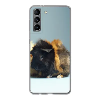 Produktbild von MuchoWow® Handyhülle Schutzhülle Hülle für Samsung Galaxy S21 Zwei kleine Meerschweinchen Silikon Softcase Handy Hülle - Softcase