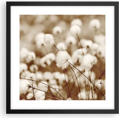 Produktbild von Gerahmtes Poster - Schwarzer Rahmen - Baumwolle Boho Wollig - 40x40 cm - Wand Bild - Wanddeko - Wandbilder - Kunstposter - Wandposter - Bilderrahmen - Bilder - Kunstdruck - P2BAC40x40-4850